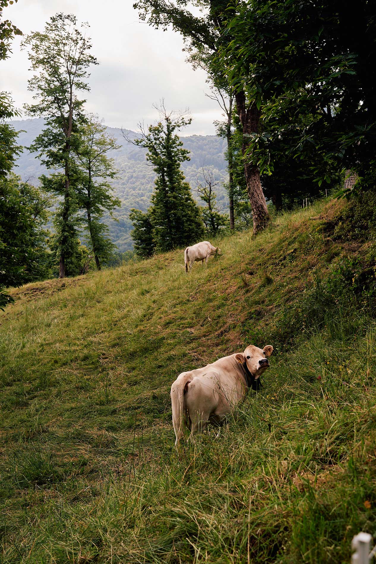 Malerisches Malcantone in Miglieglia